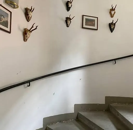 Prinzenwohnung Апартаменты *